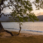 DJI_0086